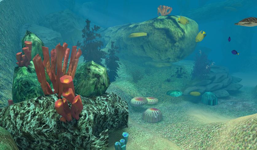 coral