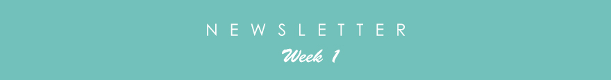 newslette1r