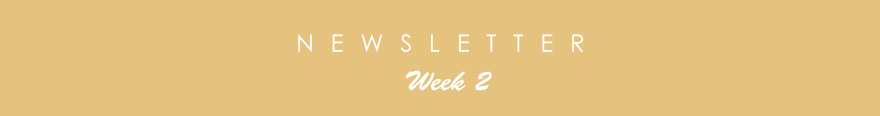 newslette2
