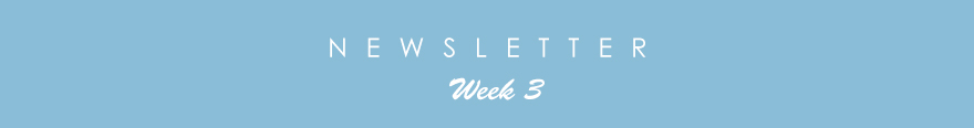 newslette3