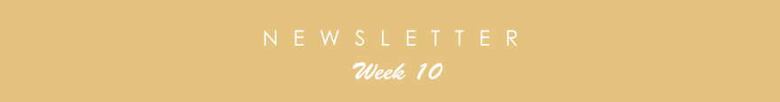 newsletter10