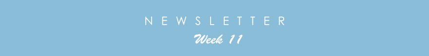 newsletter11