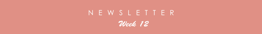 newsletter12