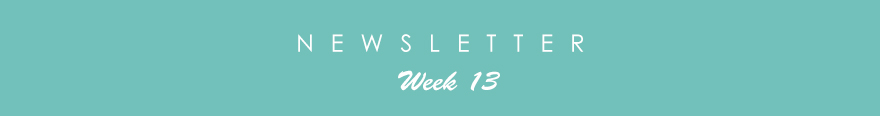 newsletter13