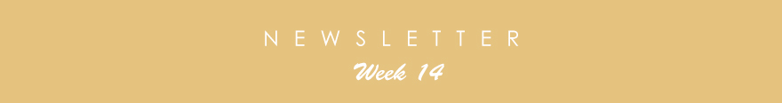 newsletter14
