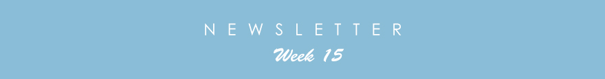 newsletter15