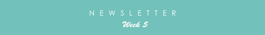 newsletter5
