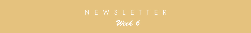 newsletter6