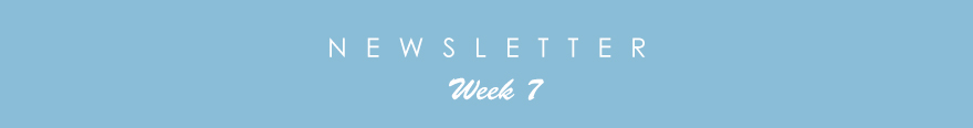 newsletter7