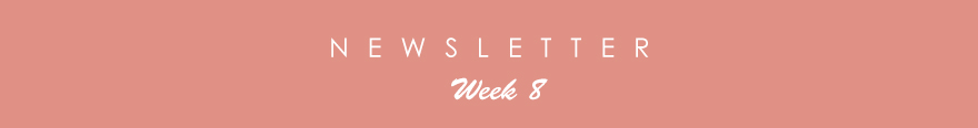 newsletter8