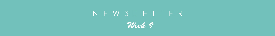 newsletter9